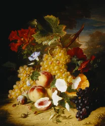 Perziken, Druiven, een Meloen, Winde en Andere Bloemen in een Landschap