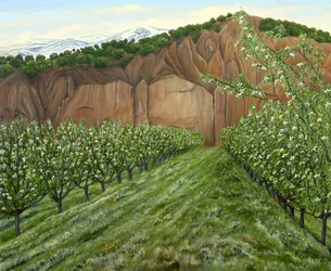 De bloeiende Orchard Valley