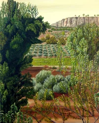 Uitzicht op de kliffen van Cultivated Valley