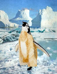 Nieuwsgierige pinguïn op het Antarctische ijs