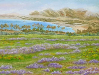 Spring Meadow Bay