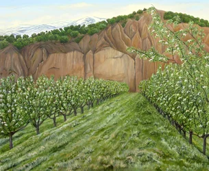 Spring Mountain Boomgaard