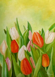 Kleurrijke lentetulpen