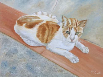 Waakzame oranje tabby