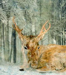 Herten in het winterbos