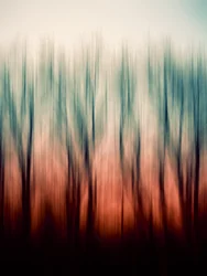 Abstract bosvervaging