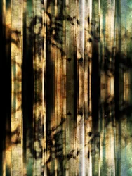 Abstracte bosschaduwen