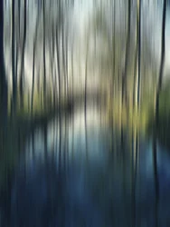 Vage weerspiegelingen in het bos