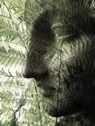 Botanisch gezichtsprofiel