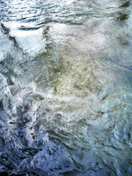 Heldere waterstroom