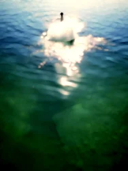 Etherische Waterglans
