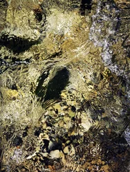De stroming van de Gouden Rivier