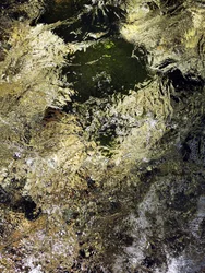 Gouden waterglans