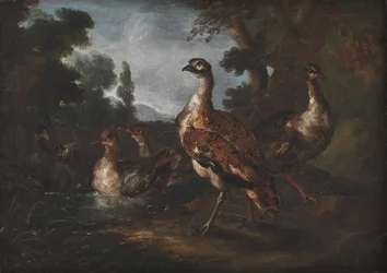 Landschap met vogels