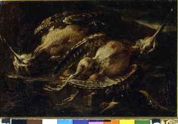Stilleven van vogels. Schilderij door Angelo Maria Crivellone (? - 1730/60?). Milaan, CRA.