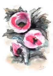 Levendige roze klaprozen