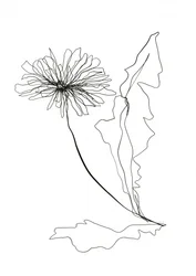Lijntekening van een paardenbloem