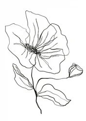 Fijne bloemenschets