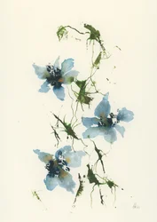 Blauwe aquarelbloemen