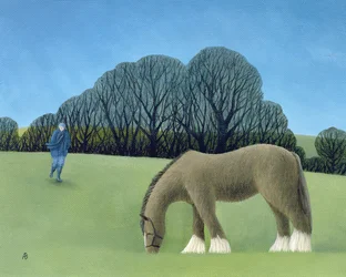 Het Shire Paard