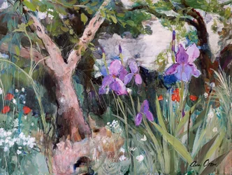 Mediterrane tuin met irissen, 2019