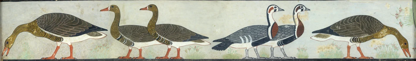 Kopie van muurschildering uit Mastaba van Itet, Medum IV, 93-94 ganzen