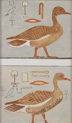 Kopie van muurschildering uit een privé-graf van Kaemankh, III, 1, 132, Giza, ganzen, 20e eeuw