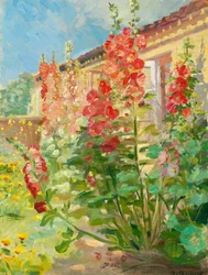 Rode stokrozen in de tuin van de familie Ancher op Markvej in Skagen.