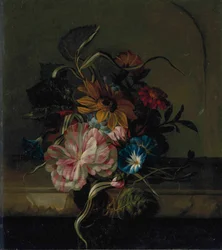 Zonnebloem, haagwinde en tweekleurige tulp