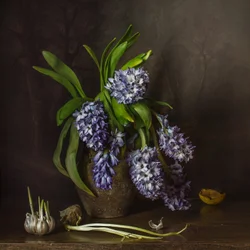 Landelijke hyacinten en knoflook