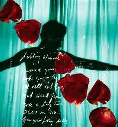 Lieve Winnie