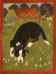 Collie Hond (acryl)