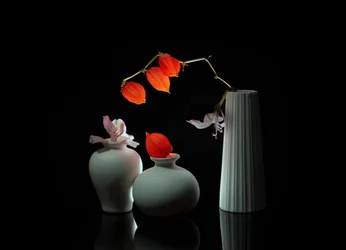 Elegant bloemstilleven