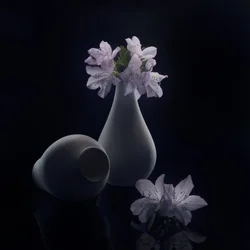 Sfeervolle bloemen en vazen