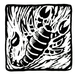 Horoscoop (Schorpioen)
