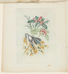 Plaat, uit Nieuwe suite van notitieboeken van ideale bloemen voor gebruik door tekenaars en schilders