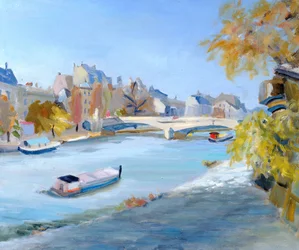 Schuit die de rivier de Seine afvaart in Parijs
