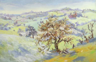 Van Udimore naar Peasmarch, Sussex, in de winter