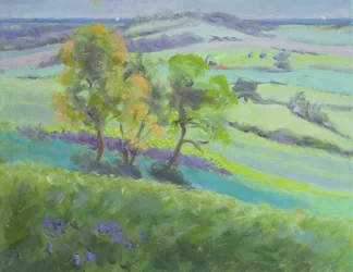 Naar Winchelsea, Sussex, met blauwe bloemen in de lente