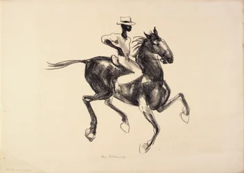 Paard en ruiter
