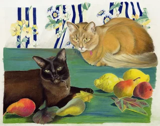 Katten met fruit