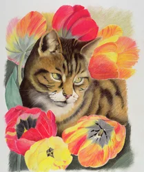 Gestreepte en tulp