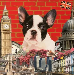 Knuffel mijn Franse Bulldog
