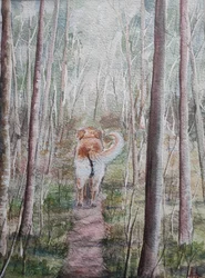 Wandeling door het bos met de hond