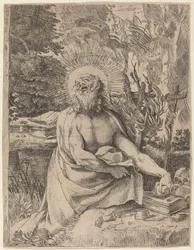 Sint Hiëronymus in de Wildernis