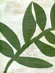 Abstracte groene bladeren