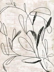 Botanische lijntekening