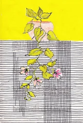 Bloeiende klimplant in geometrisch raster