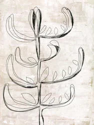 Biologische botanische schets