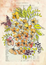 Vintage bloemendocument